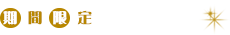 期間限定特別プラン